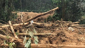 Video: Tan hoang quanh khu vực Trạm bảo vệ rừng 67, nơi 13 người đang mất tích