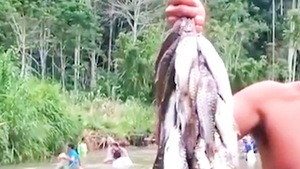 Video: Cả làng hàng trăm người kéo ra sông chài cá