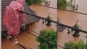 Video: Đi dây điện từ mái nhà này sang mái nhà khác để tránh lũ