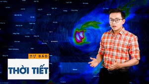 Bản tin dự báo thời tiết 23-10: Bão số 8 cách quần đảo Hoàng Sa khoảng 320km, gió giật cấp 15