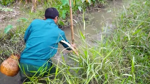 Trải nghiệm đánh dậm bắt cá ở đồng quê Tuyên Quang