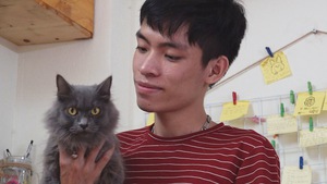Góc nhìn trưa nay | Chàng trai 9X dành cả “thanh xuân” để cứu trợ mèo tại Hà Nội