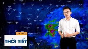 Dự báo thời tiết 9-11: Áp thấp nhiệt đới mạnh lên thành bão Etau; Cảnh báo nguy cơ sạt lở tại Quảng Trị - Phú Yên