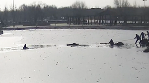 Video: Đang chơi trên mặt hồ băng, bé trai bị rớt xuống dưới