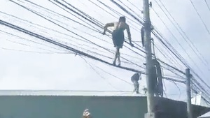 Video: Vây bắt tên trộm leo lên dây điện để tẩu thoát