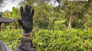 Video: Ai đã che giấu Tuấn 'khỉ' trong 13 ngày lẩn trốn ?