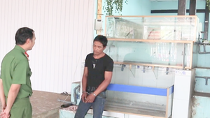 Video: Băng nhóm trộm cắp theo kiểu 'dọn sạch nhà' đã bị bắt