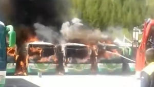 Video: Ném thuốc còn cháy dở, hàng loạt xe buýt bốc cháy dữ dội