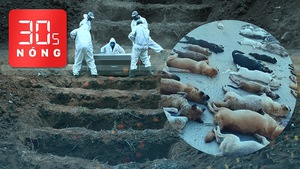 Bản tin 30s Nóng: Khai quật mộ lấy chỗ chôn bệnh nhân; Bắt 2 đối tượng trộm 500kg chó, mèo