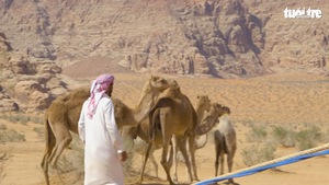 Video: Cuộc sống trên sa mạc Wadi Rum, dùng lông cừu để làm lều tránh nắng