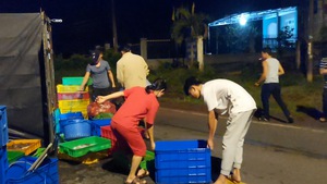 Video: Người dân gom hải sản giúp xe tải bị lật lúc rạng sáng