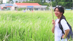 Video: Cánh đồng cỏ lau trắng thu hút giới trẻ Sài Gòn
