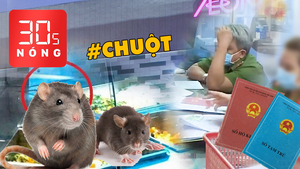 Bản tin 30s Nóng: Xôn xao vụ chuột bò lên khay thức ăn ở AEON Tân Phú; Khi nào 'khai tử' sổ hộ khẩu?