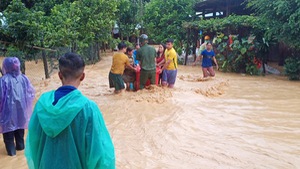Video: Gió mạnh cây đè chết một người ở Thừa Thiên Huế
