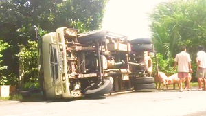 Video: Xe tải chở heo bị lật giữa đường