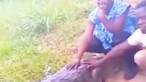 Video: Cá sấu bất ngờ tấn công du khách, nhiều người bỏ chạy tán loạn