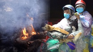 Video: Chủ tịch huyện Trần Văn Thời thông tin chi tiết vụ tiêu hủy đàn chó tại khu cách ly