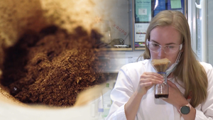 Video: Cốc cà phê sản xuất trong phòng thí nghiệm có mùi vị 'y chang' cà phê thông thường