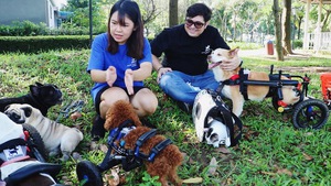 Góc nhìn trưa nay | Vợ Việt - chồng Tây làm xe lăn cho chó mèo bị liệt ở Sài Gòn