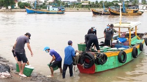 Video: Tạm dừng hoạt động cảng cá Phan Thiết để chống dịch
