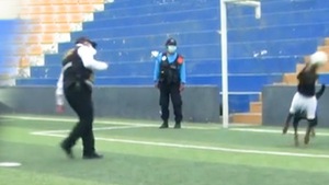 Video: Chú chó làm 'thủ môn' bắt được liên tiếp 3 trái bóng của huấn luyện viên