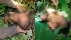Video: Đau nhói hình ảnh bé sơ sinh 2 ngày tuổi quấn lá chuối bỏ trong rừng nhưng may mắn còn sống