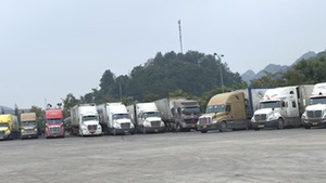 Video: Container còn tồn lên tới hàng ngàn, nhiều cửa khẩu tại Lạng Sơn vẫn tạm dừng thông quan