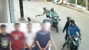 Video: Bắt nhóm trộm gần ngàn con chó, từng dùng bình hơi cay chống trả khi bị truy đuổi