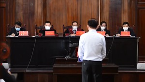 Video: Ông Trần Vĩnh Tuyến thừa nhận chủ quan, không kiểm tra dẫn đến sai phạm trong vụ SAGRI