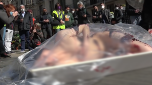 Video: Khỏa thân trước chợ để kêu gọi không ăn thịt ở Barcelona