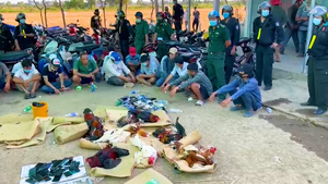 Video: Bắt quả tang gần 100 người tham gia đá gà ăn tiền trong lều ở Tiền Giang