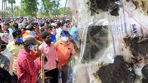 Video: Hàng ngàn người đổ xô đi xin 'thần dược' trị Covid-19 ở Ấn Độ