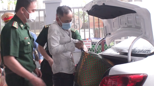 Video: Vận chuyển hơn 20kg ma túy từ Đồng Tháp, bị bắt tại TP.HCM