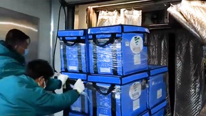 Video: 500.000 liều vắc xin do Sinopharm, Trung Quốc sản xuất đến Việt Nam vào 20-6