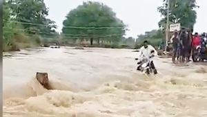 Video: Cố băng qua dòng nước lũ chảy siết, người đàn ông may mắn sống sót