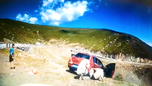 Video: Nữ hành khách bung cửa, thoát khỏi ôtô trước khi chiếc xe rơi xuống núi