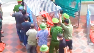 Video: Vụ bắt 17 con hổ nuôi nhốt ở Nghệ An, 8 con đã chết, hiện đang cấp đông để phục vụ điều tra