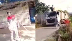 Video: Xôn xao xe chở cây vú sữa 'khủng' cho trưởng phòng CSGT Trà Vinh