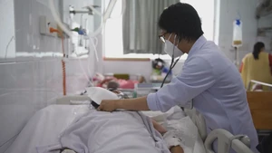 Góc nhìn trưa nay | Sai lầm chết người khi xử trí vết thương rắn cắn, chó cắn