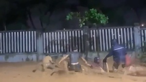 Video: Giải cứu nhiều người trong đêm do mưa lũ ở Đà Nẵng