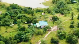 Video: Đắk Lắk cho kiểm tra trang trại bò của nguyên bí thư tỉnh ủy trong khu bảo tồn thiên nhiên