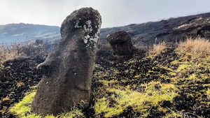 Video: Cháy rừng trên đảo Phục sinh, nhiều bức tượng là di sản thế giới bị hư hại