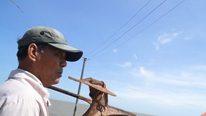 Video: Dự án điện gió chắn lối ra khơi của ngư dân, tiềm ẩn nguy cơ tai nạn cho tàu cá
