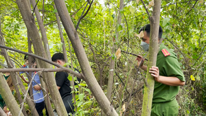 Video: Phát hiện một thi thể đang phân hủy trong bụi cây ở An Giang