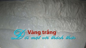 “Vàng trắng”: đối mặt với thách thức, nắm bắt cơ hội để vươn xa