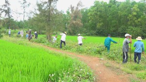Góc nhìn trưa nay | Xuống đồng đầu Xuân, nông dân với nhiều kỳ vọng về vụ mùa bội thu