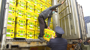 Video: Nhiều xe chở hoa quả tươi đến Lạng Sơn phải quay đầu vì không thể lên cửa khẩu