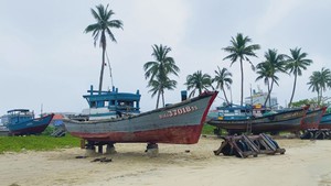 Góc nhìn trưa nay | Độc đáo đội thuyền cổ trên bãi biển Đà Nẵng