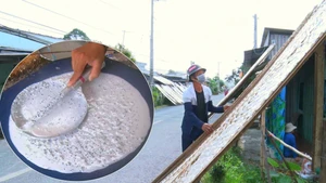 Góc nhìn trưa nay | Xóm làm bánh tráng đỏ lửa suốt đêm dịp đầu năm