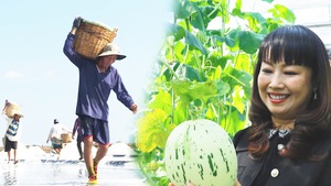 Chuyển động thị trường | Thăng trầm hạt muối Bạc Liêu; Nữ doanh nhân với khát vọng đưa nông sản vươn xa